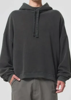 AGOLDE Dayne Hoodie In Fracture Discount