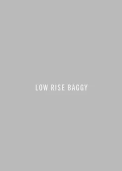 AGOLDE Low Slung Baggy 30.5\\ Fashion